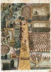 The Indian Village of Secoton